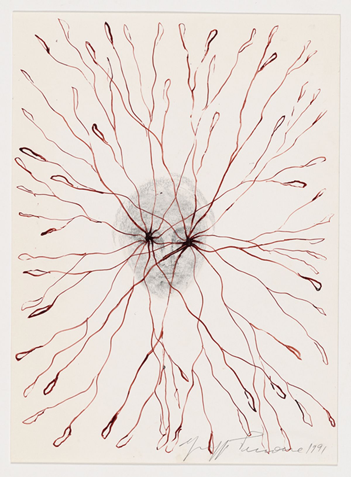 Giuseppe Penone, Vegetal Gaze (1991), pencil and ink on paper Courtesy of Philadelphia Museum of Art, 2020