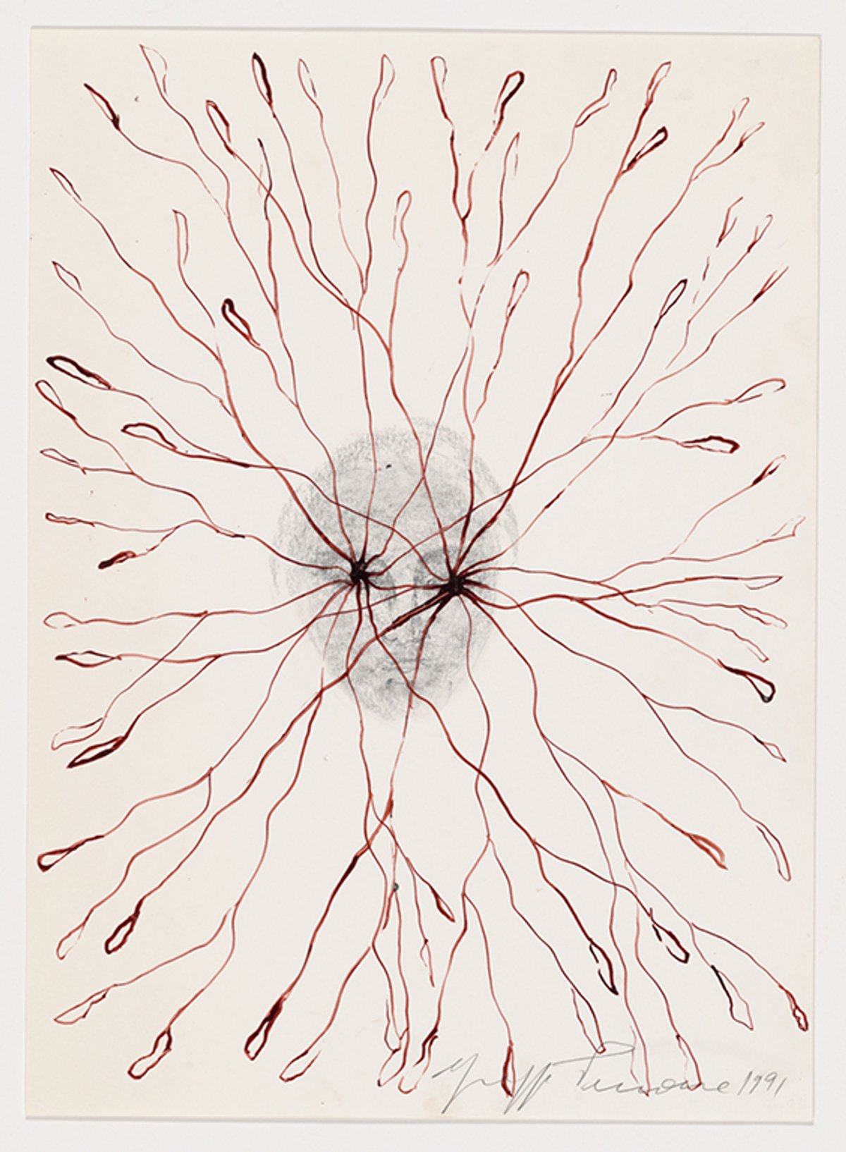 Giuseppe Penone, Vegetal Gaze (1991), pencil and ink on paper Courtesy of Philadelphia Museum of Art, 2020