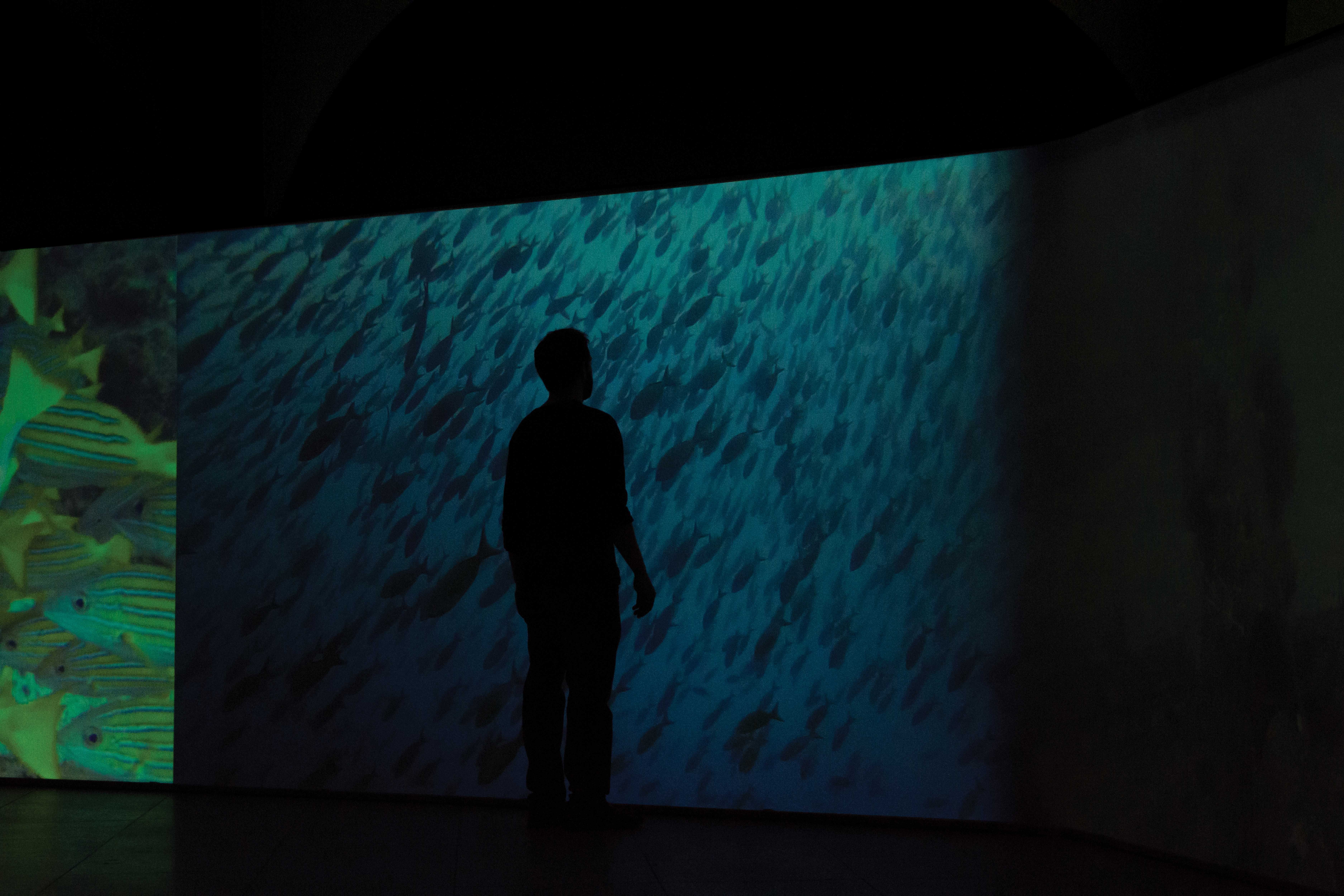 Photo: Leslie Ranzoni