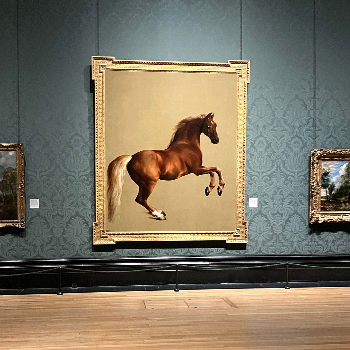 George Stubbs, Whistlejacket, 1762, was acquired for the National Gallery, London, for a gross price of £15.75 million with a £8.3 million grant from the Heritage Lottery Fund and £2.8m from private donations Photograph: The Art Newspaper