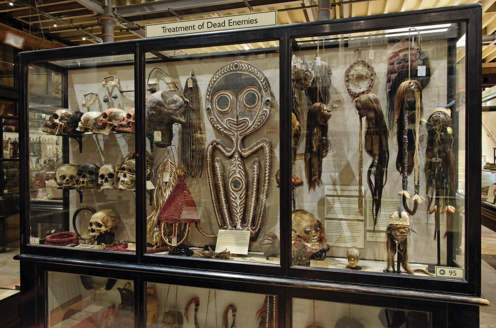 The Pitt Rivers Museum’s current Treatment of Dead Enemies display © Pitt Rivers Museum