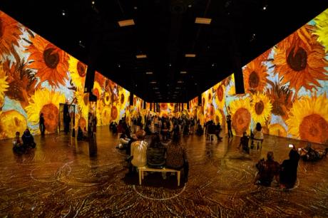  Company behind 'immersive' Van Gogh exhibitions files for bankruptcy 