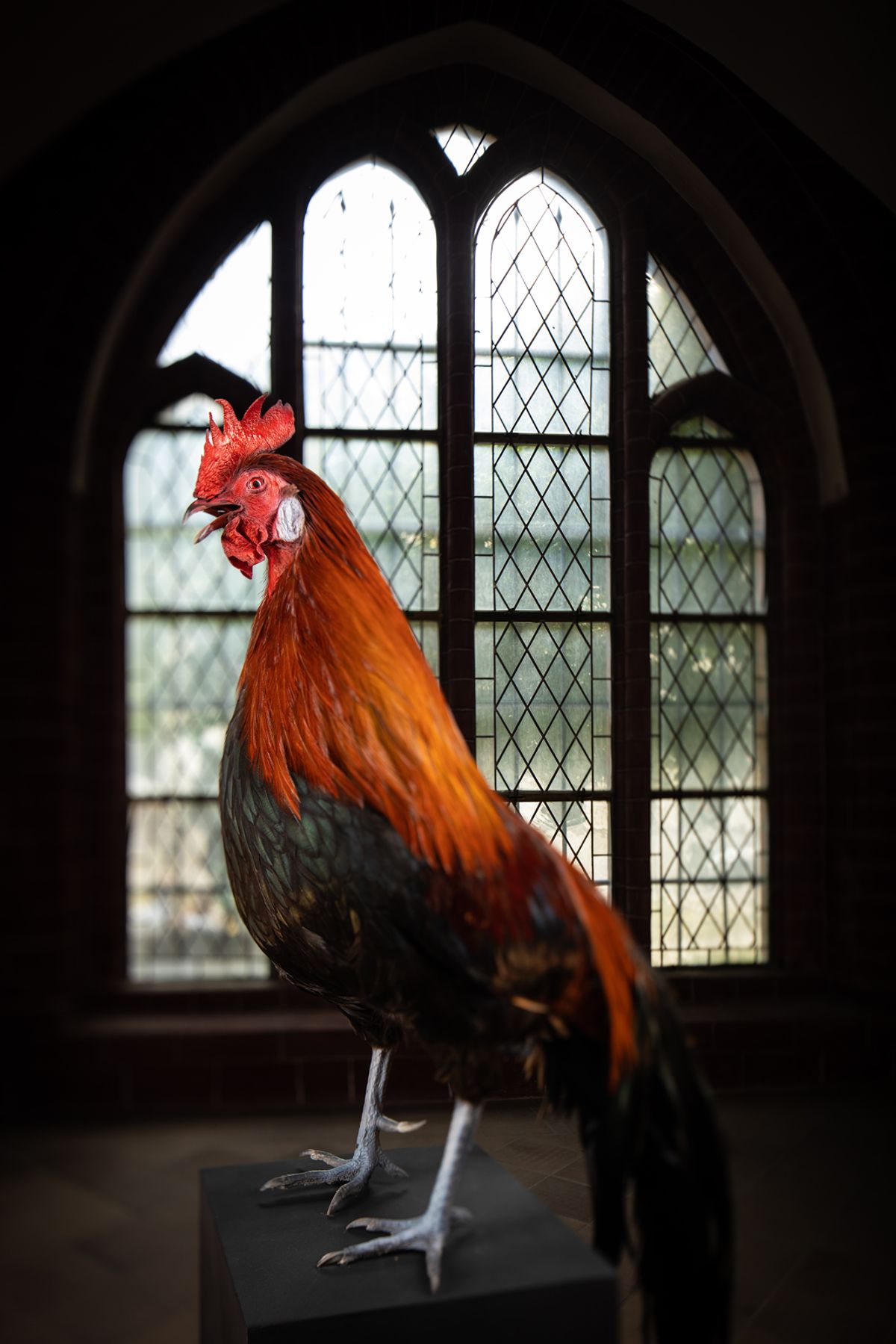 Christiane Möbus's Männersache (2018) © Christiane Möbus; VG Bild-Kunst, Bonn 2018; Photo: Michael Setzpfandt