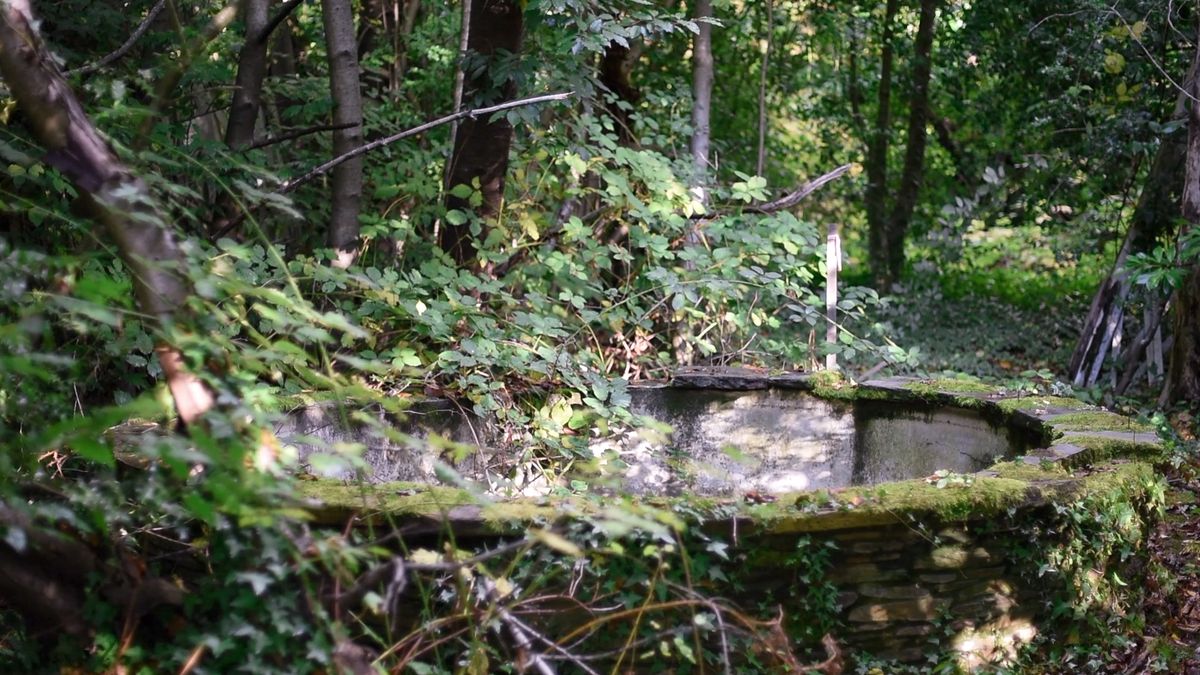 Image of the purchased Rainier Beach plot Satpreet Kahlon