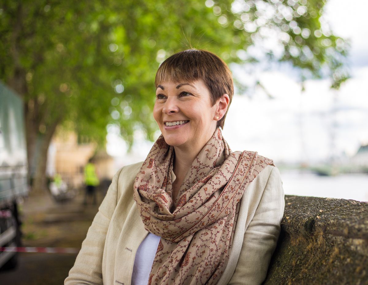 Caroline Lucas, the member of parliament for Brighton Pavilion, is known for her anti-Brexit stance Courtesy of Towner Art Gallery