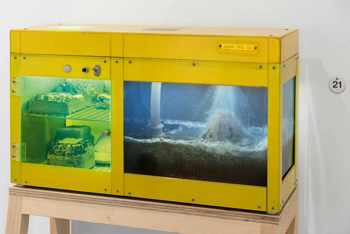 Addressing climate change directly: For Carl Cheng’s solo exhibition Nature Never Loses, the Contemporary Austin in Texas created a holistic sustainability plan with the help of a climate consultant Photo: Alex Boeschenstein, Courtesy The Contemporary Austin