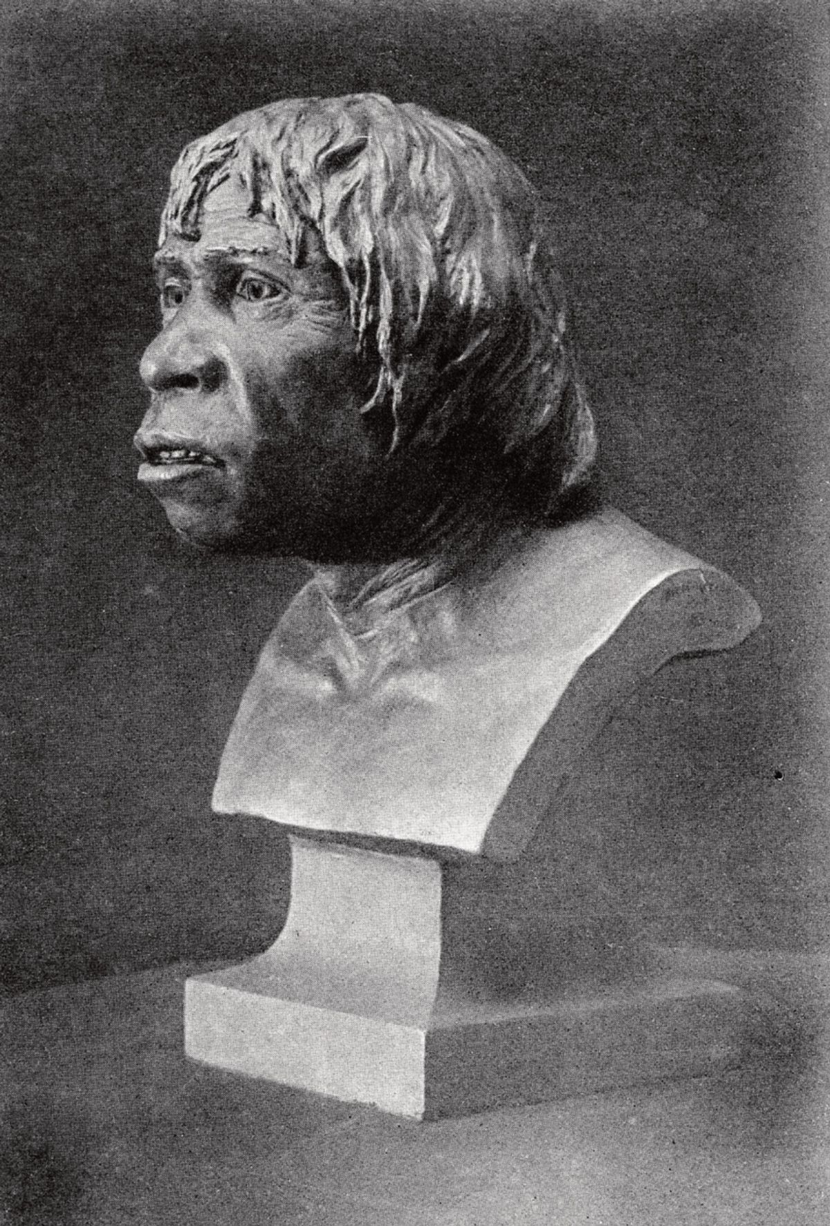 A bust of Britain’s most famous fake, Piltdown Man © Wellcome Collection