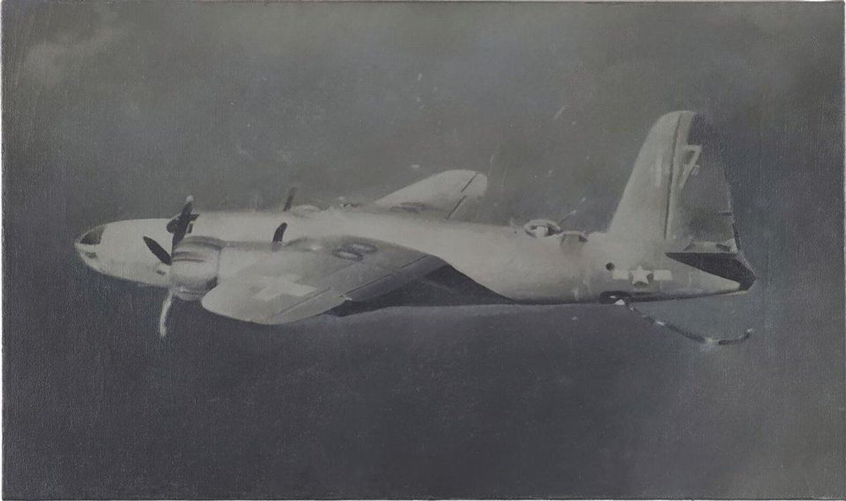 Vija Celmins's Suspended Plane (1966) © Vija Celmins and courtesy Matthew Marks Gallery