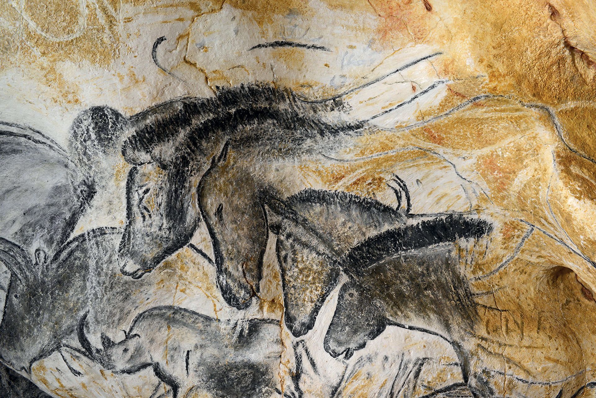 ‘Historic’ agreement resolves dispute over Chauvet cave (and replica)