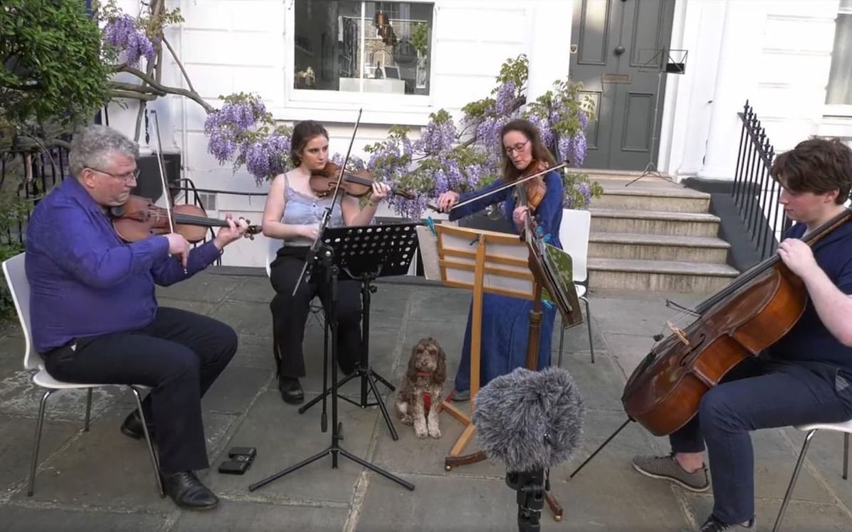 Helena Newman and family have been stopped by police from playing concerts to their neighbours. The dog is not thought to have been involved © Rafael Todes