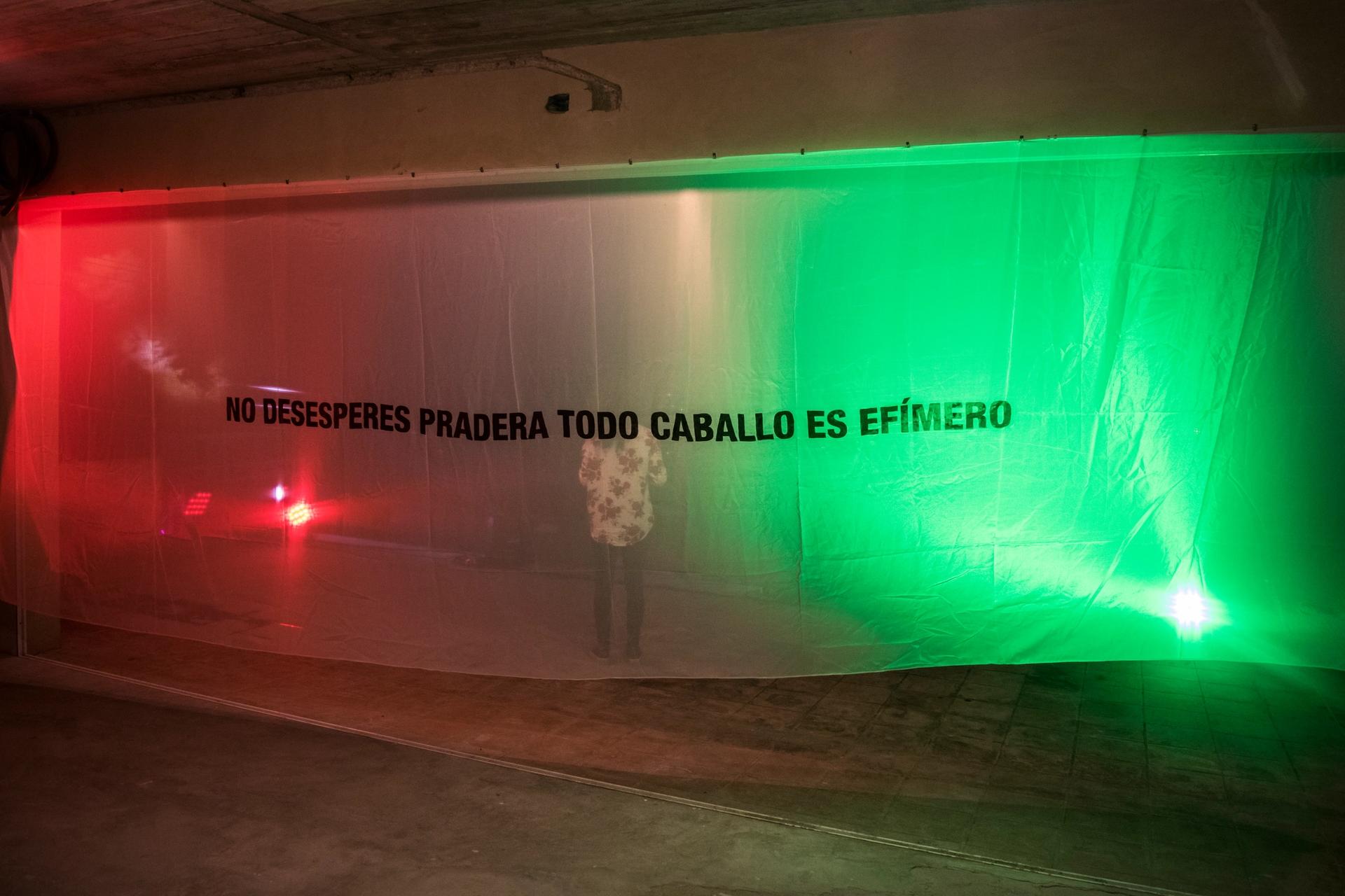 Reynier Leyva Novo and Aryam Rodriguez's  No desesperes pradera… (Don’t despair meadow…), exhibited during the first edition of Havana Art Weekend in 2017. Photo by Jorge Calcagno, courtesy of Havana Art Weekend.