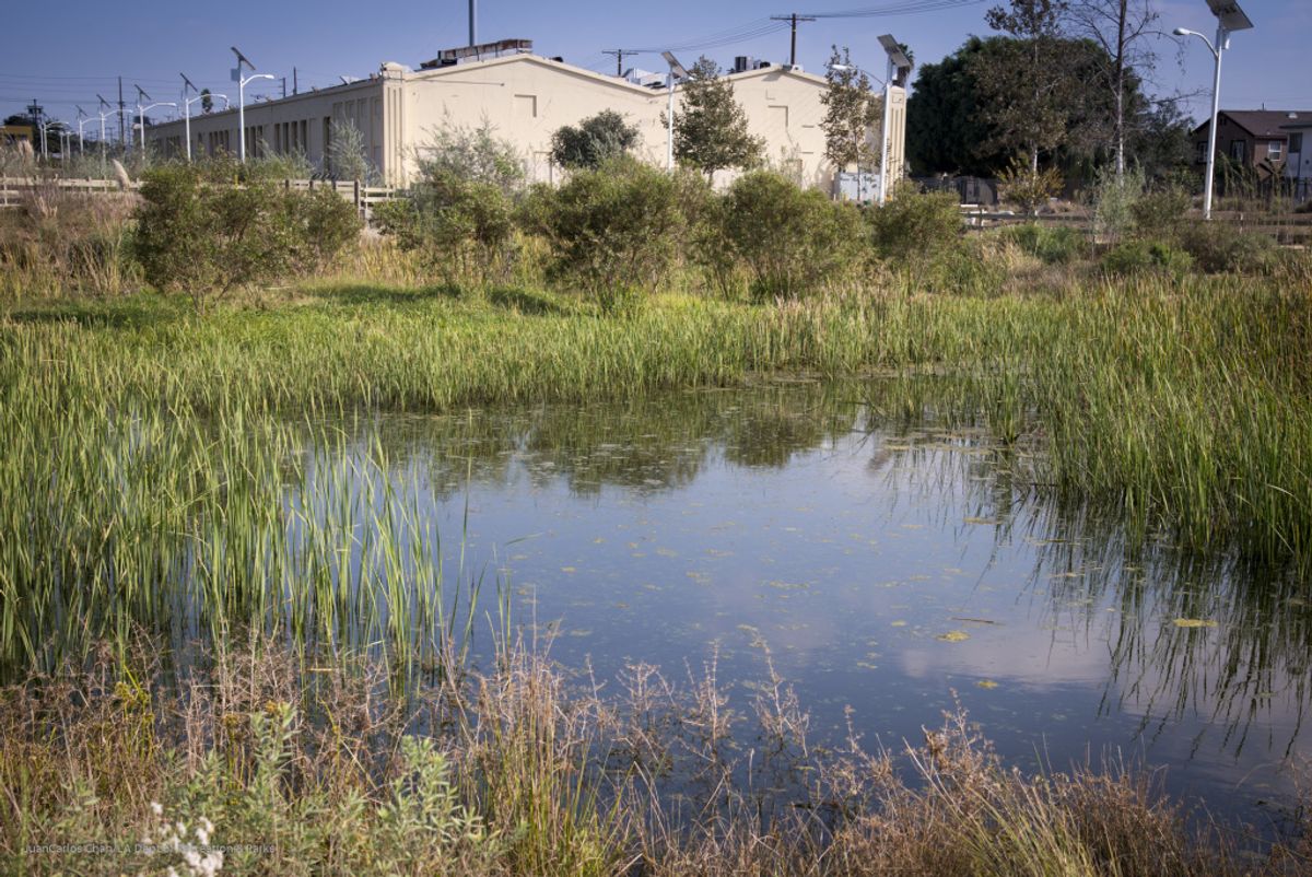 The site of Lacma's new satellite campus in South Los Angeles Wetlands Park Photo: Juan Carlos Chan