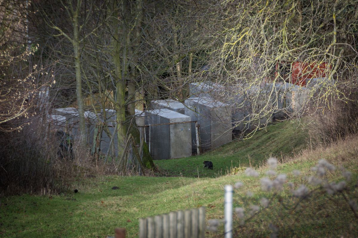 The group installed a replica of the Berlin Holocaust memorial in the village of Bornhagen, next door to the home of Björn Höcke Wiki Commons