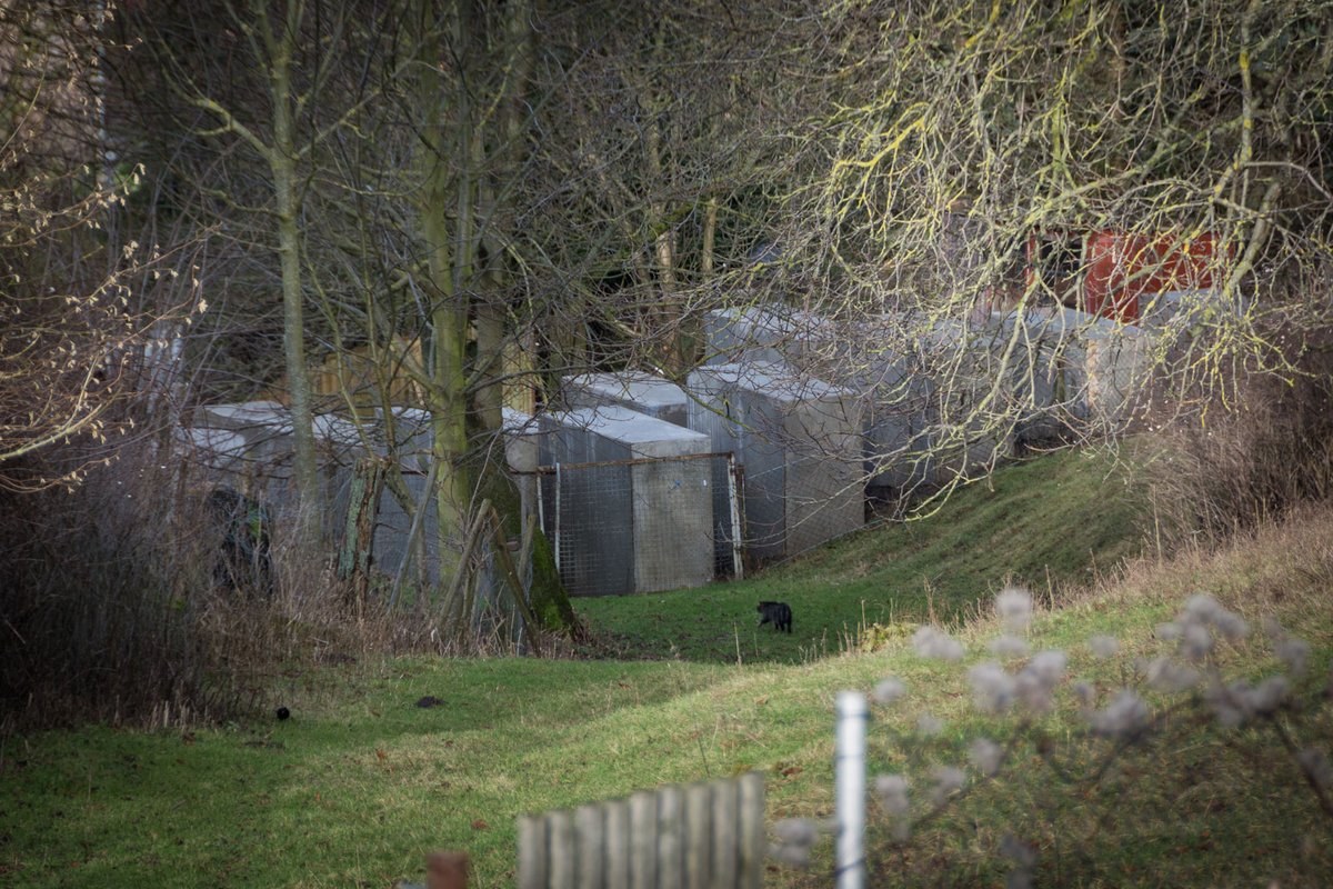 The group installed a replica of the Berlin Holocaust memorial in the village of Bornhagen, next door to the home of Björn Höcke Wiki Commons