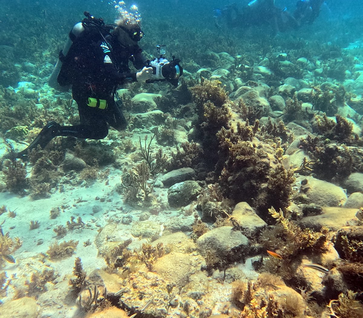 An 18th-century shipwreck from the “golden age of piracy” with iron cannon, swivel gun and stone ballast east of Nassau Harbour, the Bahamas Photo: Sean Kingsley, © Wreckwatch TV