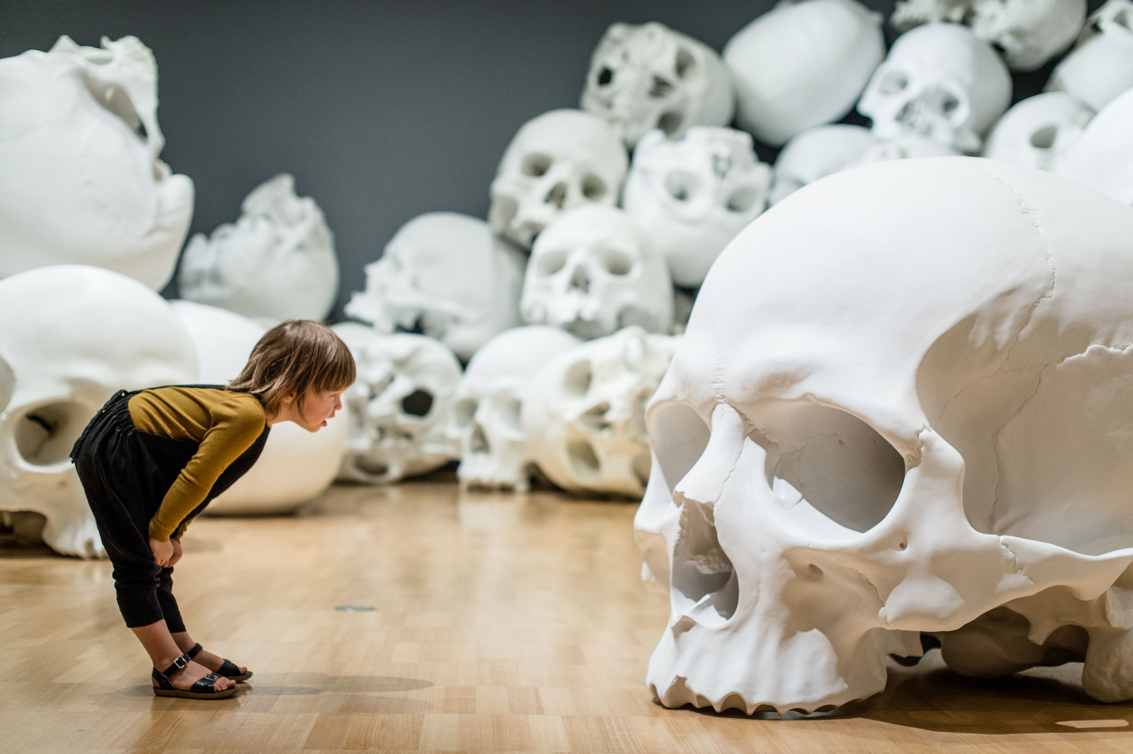 RON MUECK 作品集 作品集「Ron Mueck」 | 古本トロニカ 通販オンラインショップ