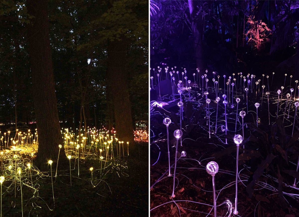 Left is Bruce Munro's work and right is the Fairchild Tropical Botanical Gardens's installation at its event The NightGarden Left: © Bruce Munro. Right: Photo by Laura Cruz via Trover