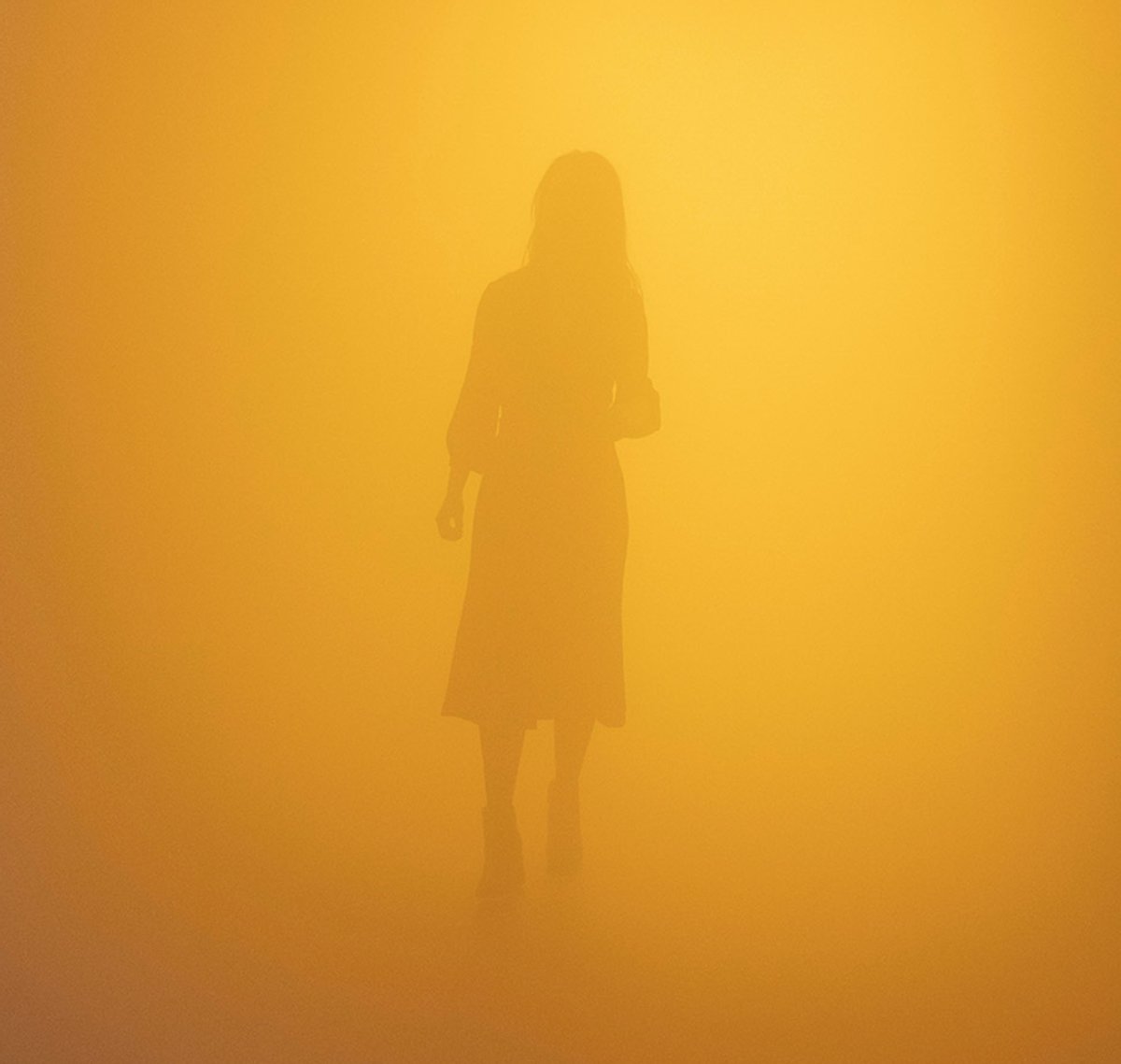 Olafur Eliasson’s Din blinde passager (Your blind passenger) (2010) Photo: Anders Sune Berg. Courtesy of the artist; neugerriemschneider, Berlin; Tanya Bonakdar Gallery, New York/Los Angeles. © 2010 Olafur Eliasson