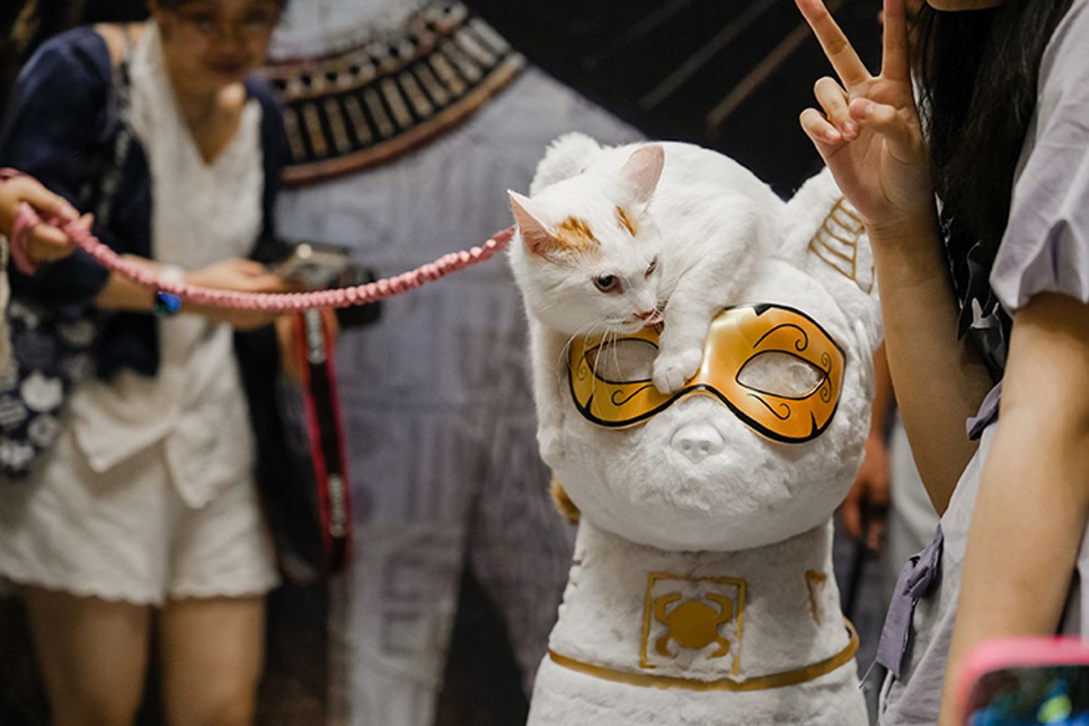 Cat out of the bag: the sarcophogus spot where visitors could take their pets out for photos © Shanghai Museum