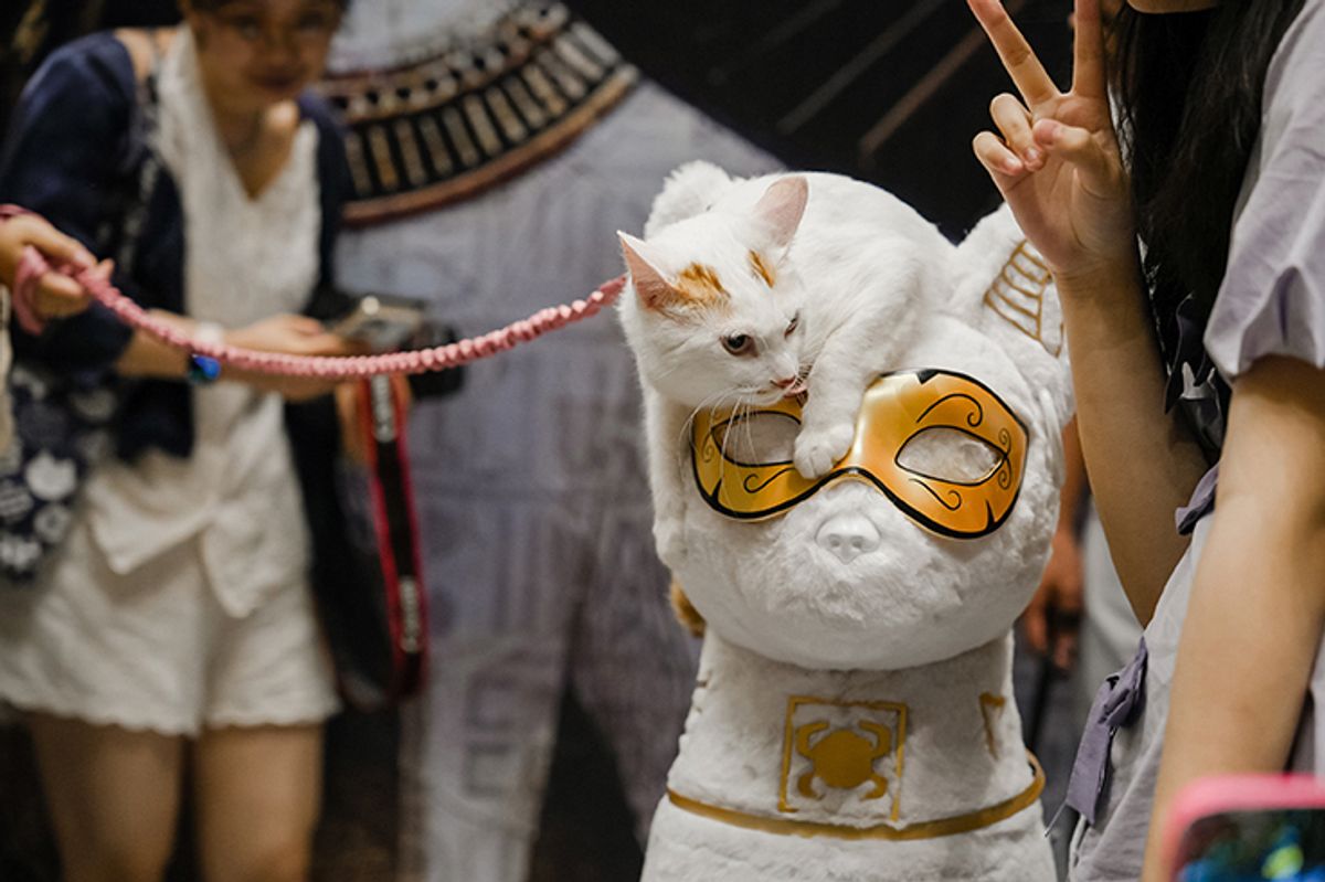 Cat out of the bag: the sarcophogus spot where visitors could take their pets out for photos © Shanghai Museum