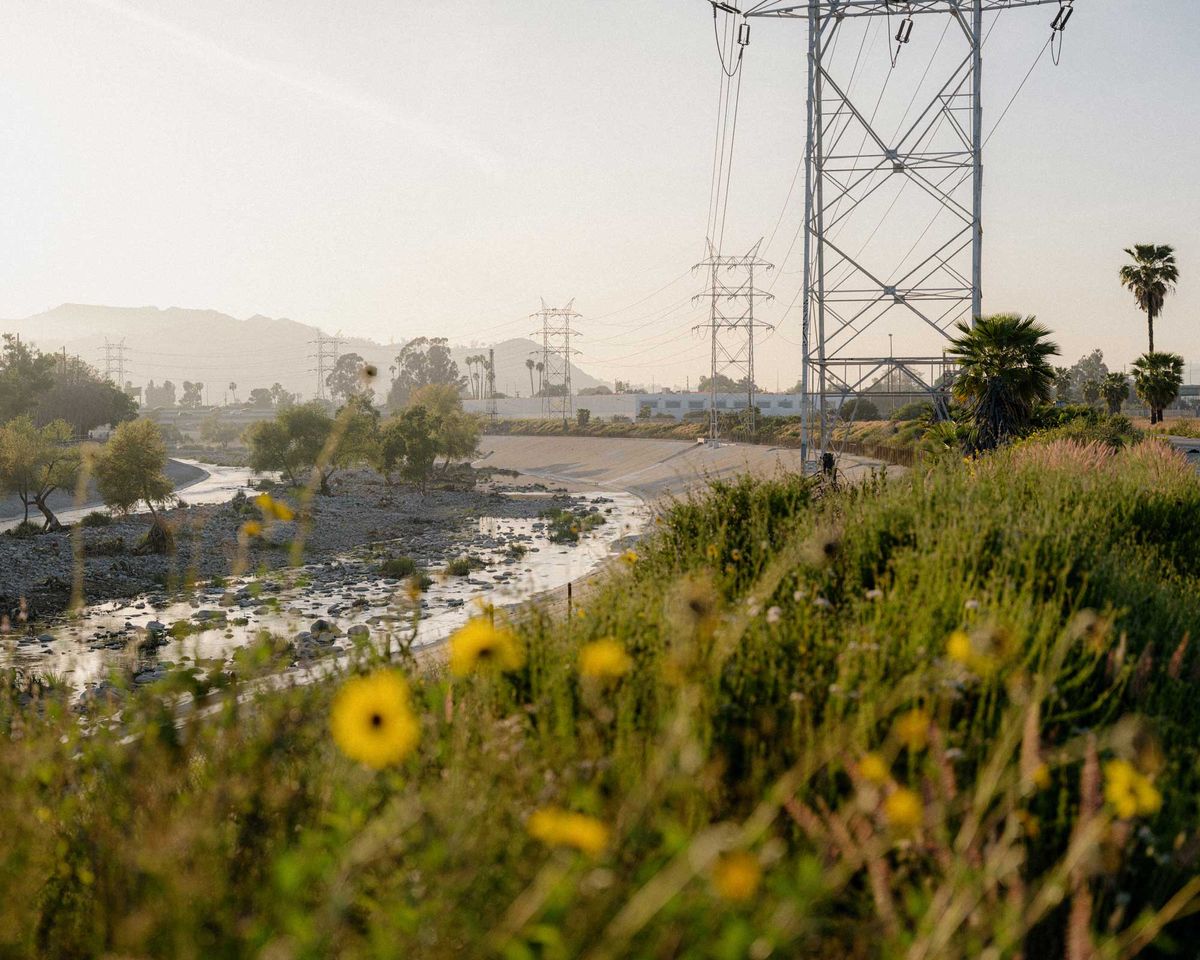 New lungs for Los Angeles: the Bowtie riverbank site is being transformed from derelict brownfield into a restored wetland habitat that will help to drain stormwater and allow the land to breathe
Photo: Mathew Scott