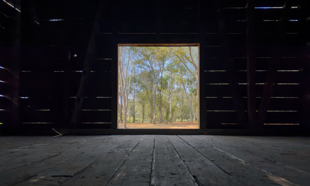 New Alabama sculpture park will feature contemporary art and a national monument to freedom from slavery New Alabama sculpture park will feature contemporary art and a national monument to freedom from slavery