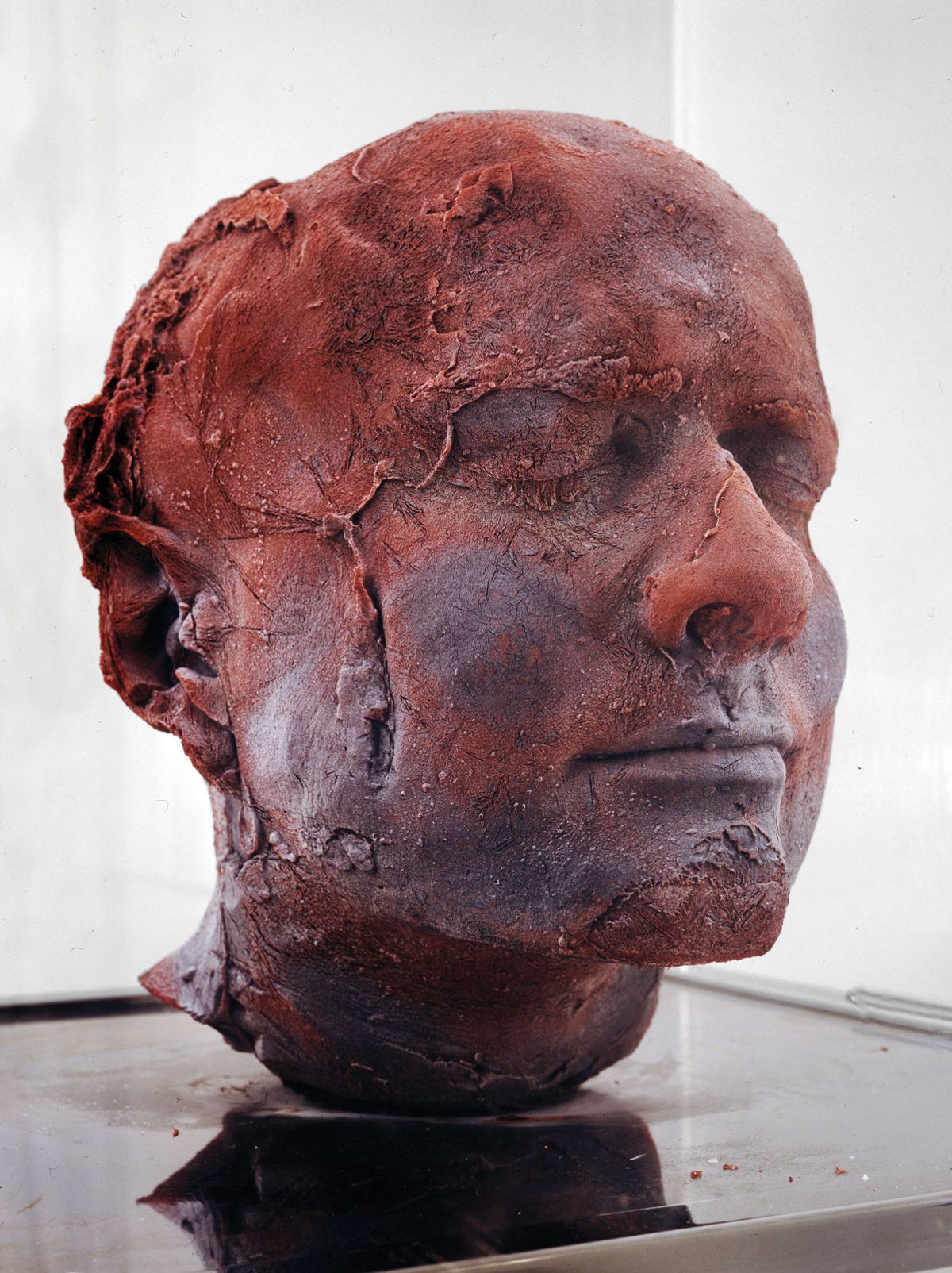 Self (1991) by Marc Quinn, who used ten pints of his own blood to create the work Marc Quinn Studio, Courtesy Marc Quinn studio