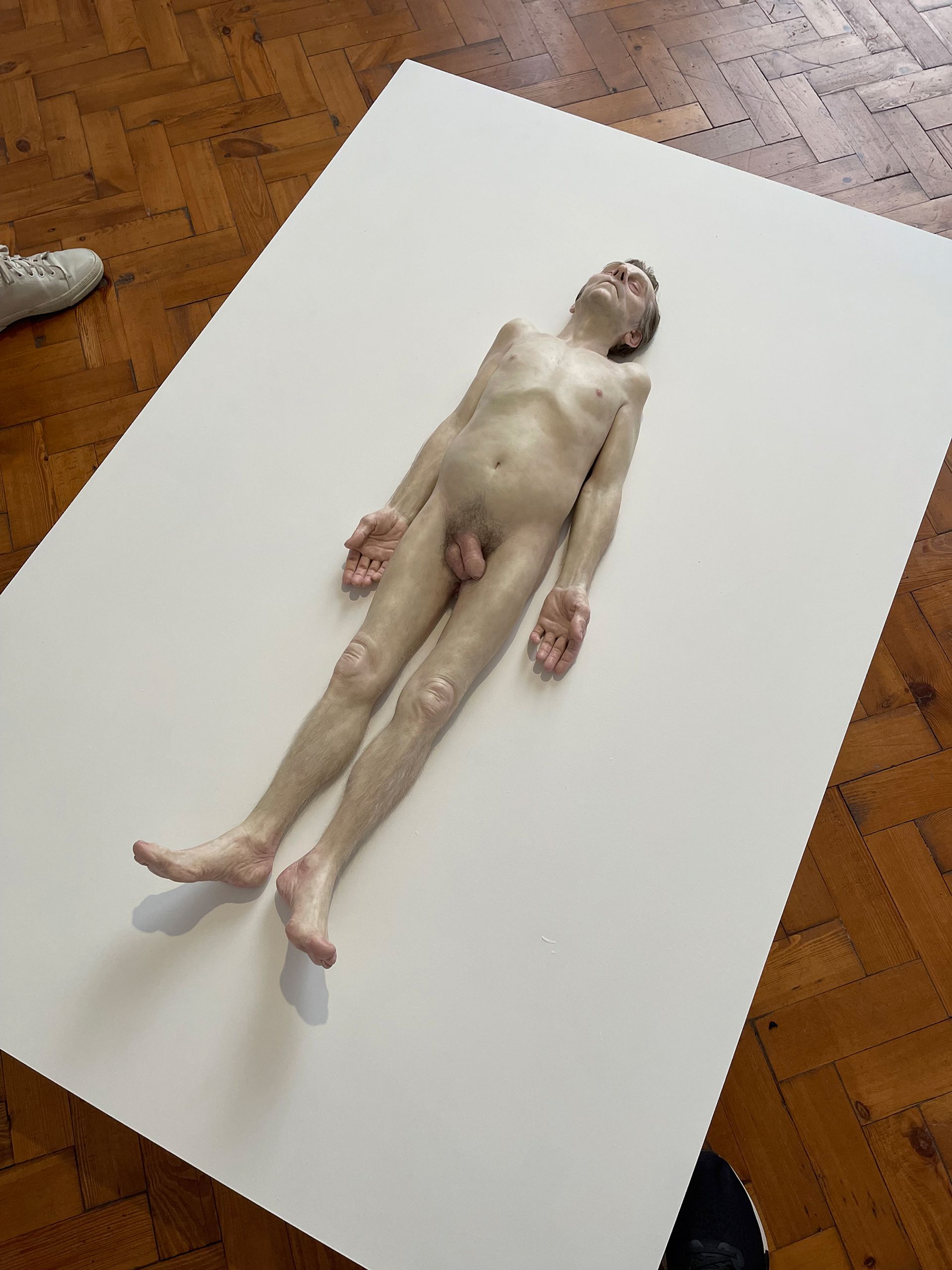 Conversation piece: Ron Mueck’s hyperrealistic work lived under its owner’s glass coffee table for more than 20 years Photo: Gareth Harris