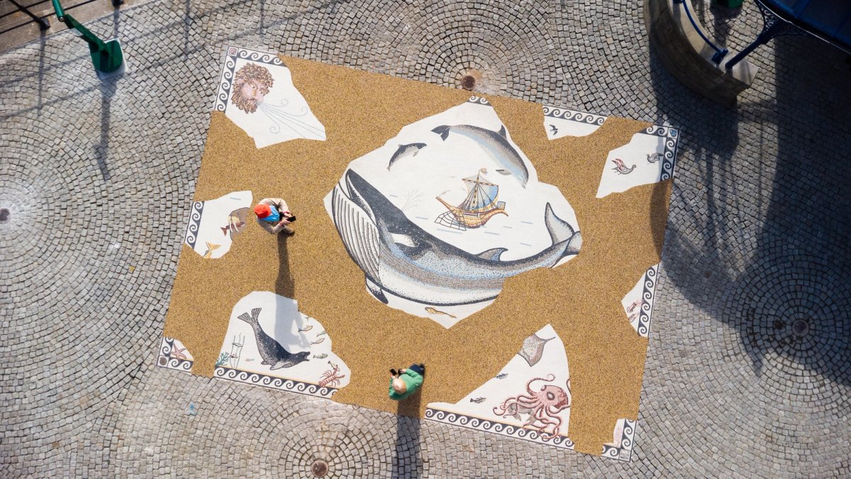 The large Roman style mosaic depicts animals that can be seen from the Yorkshire coastline, including local celebrity Thor the Walrus
Roman Mosaic c. 2025 by Jeremy Deller and Coralie Turpin. Photo by Jules Lister