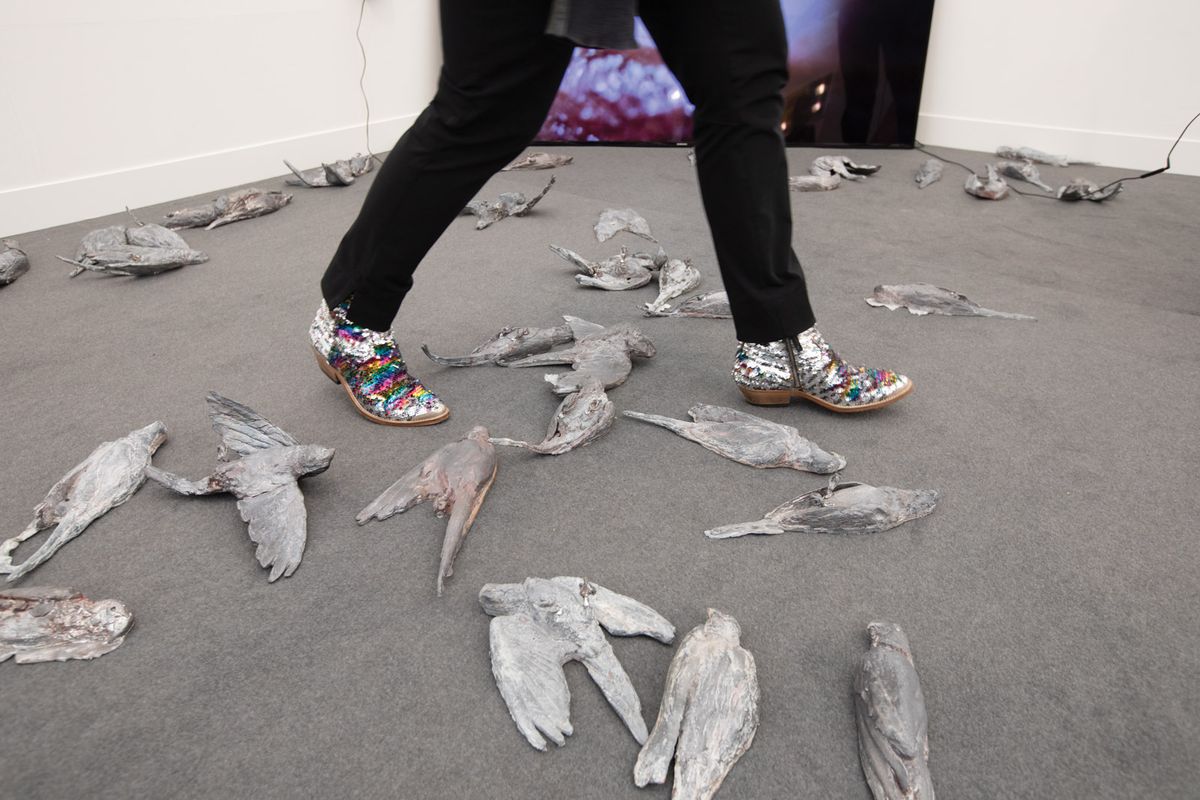 Patrick Goddard’s Blue Sky Thinking (2019) uses dead parakeets to bring home the climate change message Photo © David Owens
