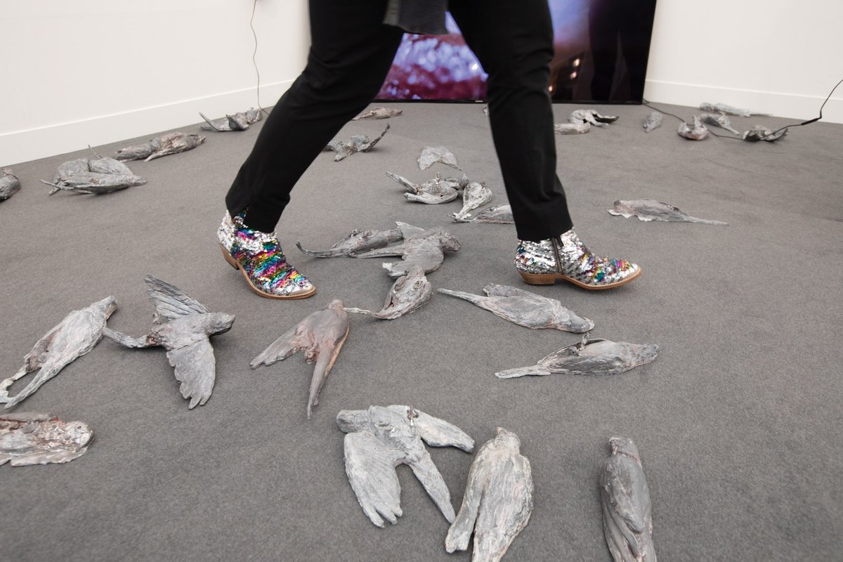 Patrick Goddard’s Blue Sky Thinking (2019) uses dead parakeets to bring home the climate change message Photo © David Owens