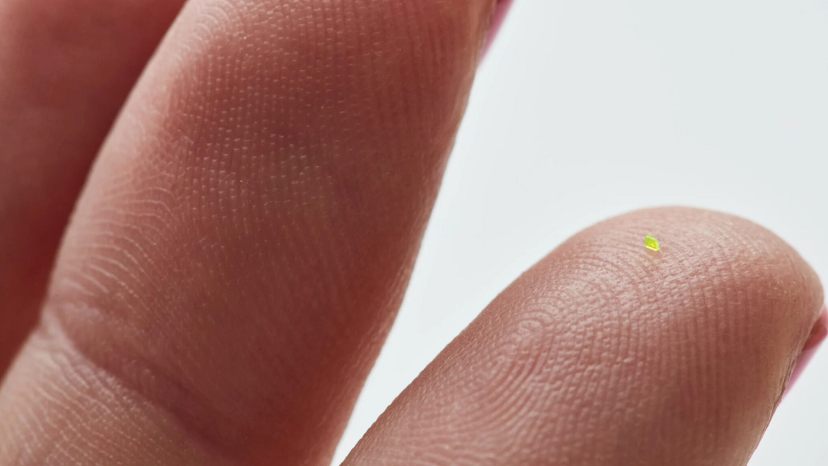 The fluorescent green work takes the "micro handbag" trend to the extreme
Courtesy of MSCHF