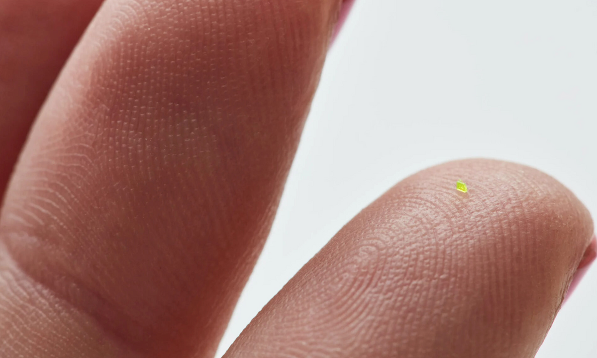 A handbag for ants? Brooklyn collective MSCHF design microscopic Louis Vuitton purse smaller than a grain of salt A handbag for ants? Brooklyn collective MSCHF design microscopic Louis Vuitton purse smaller than a grain of salt