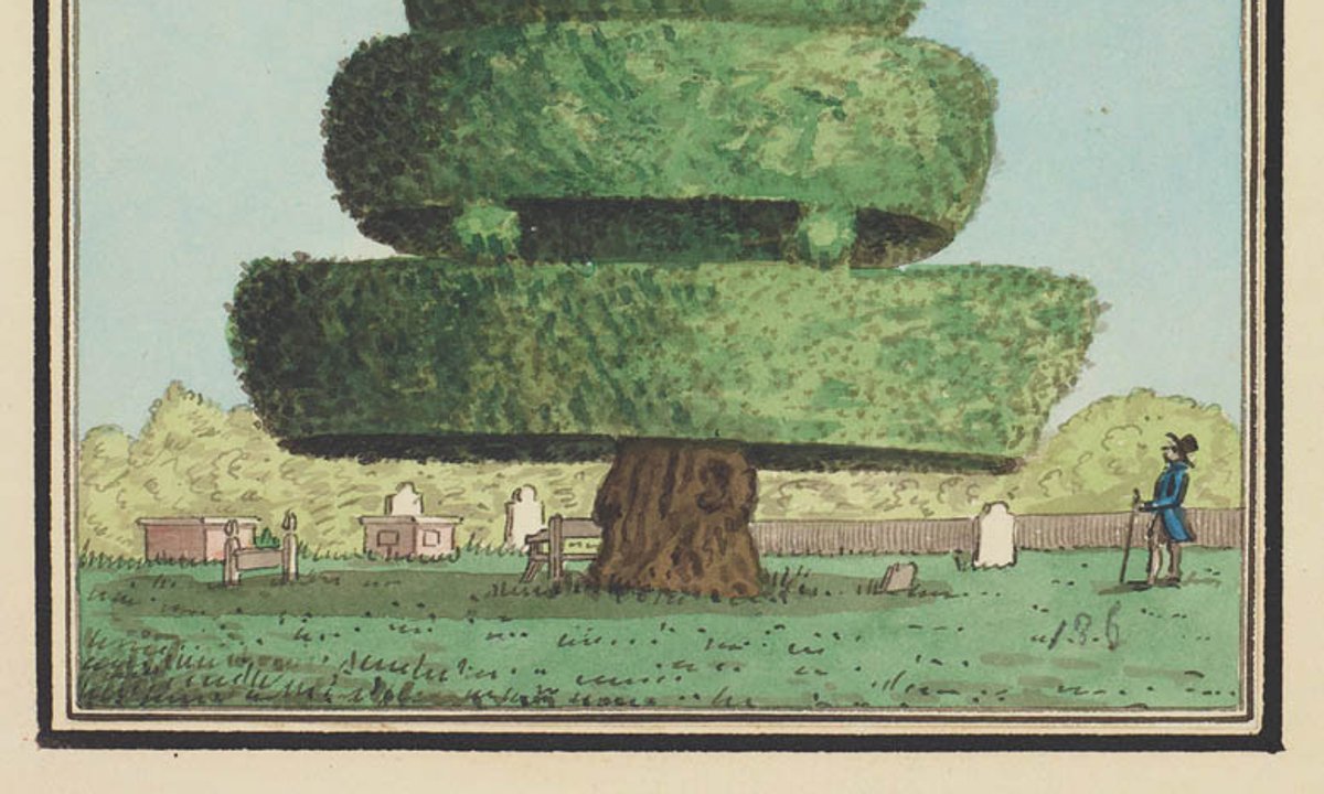 new book lays bare a history of eccentrics new book lays bare a history of eccentrics