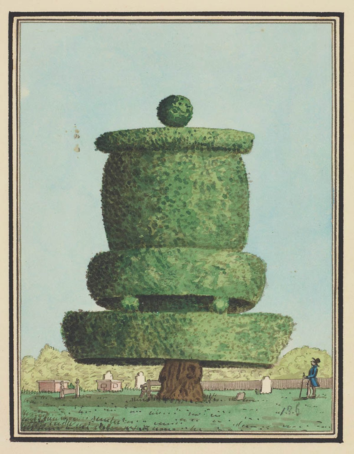 John Oldfield’s The Harlington Yew (around 1820). Originally shaped by local labourer-turned-gardener John Saxy, the yew at St Peter and St Paul Church in Harlington was ceremonially clipped in this manner every year until 1825 London Metropolitan Archives (City of London Corporation)