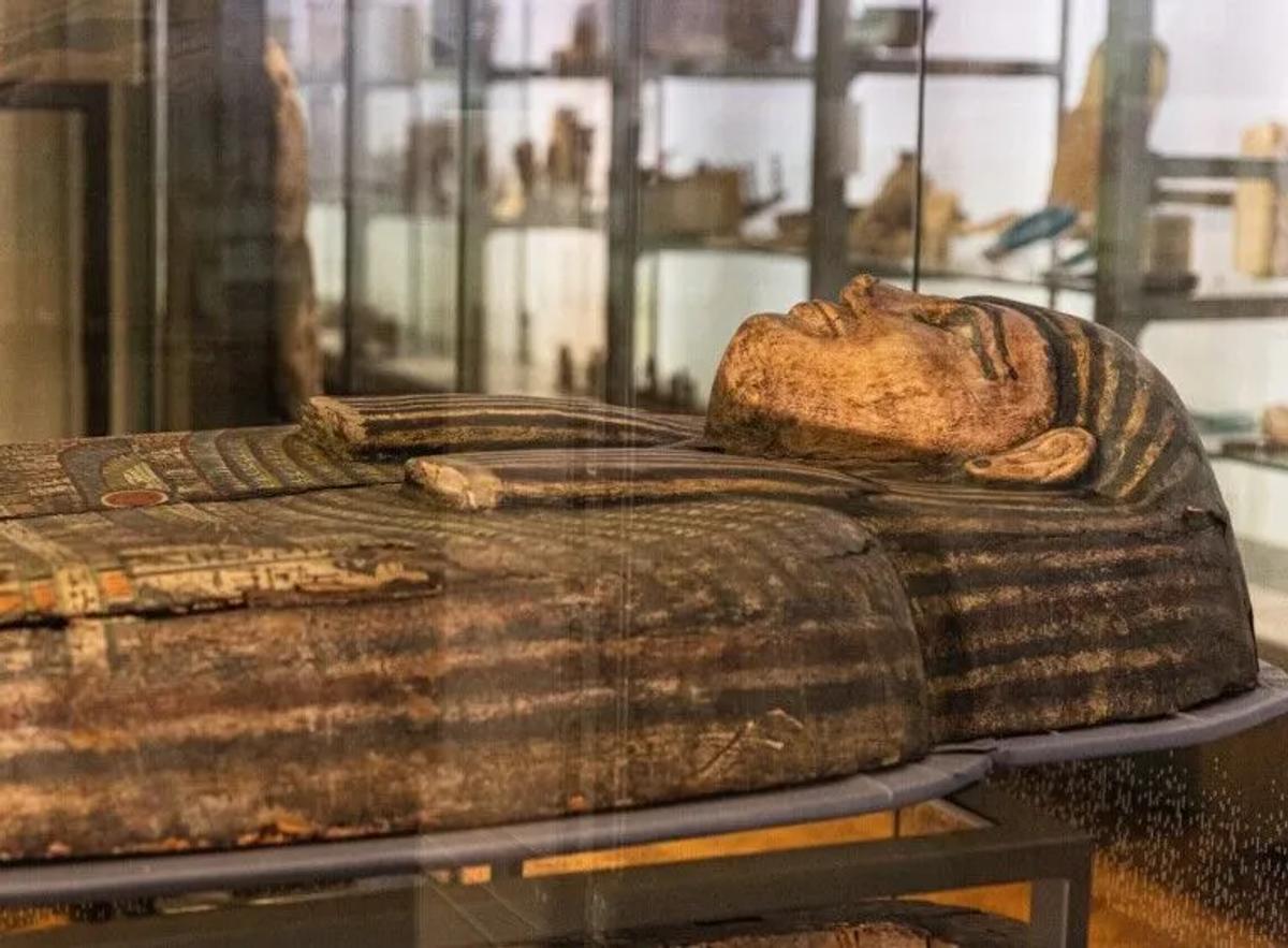 Asru has regularly been on display since 1825
Photo: Manchester Museum