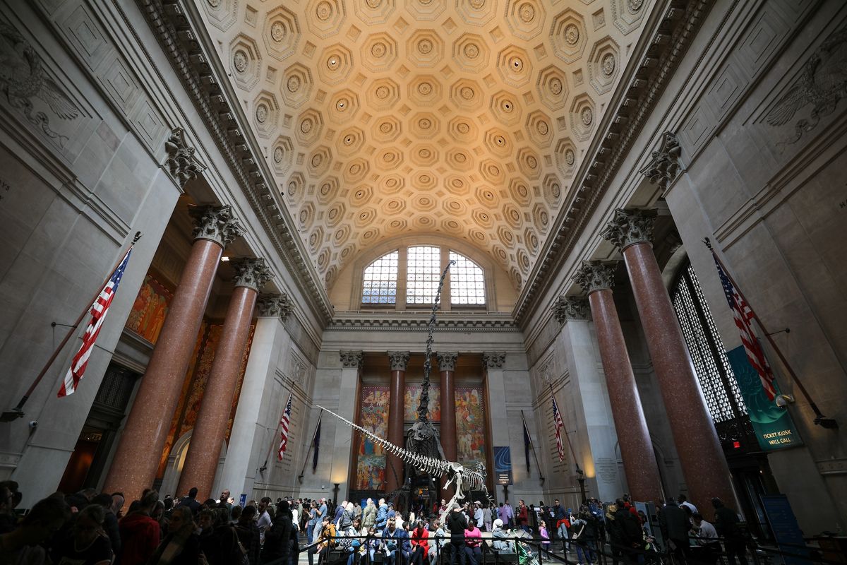 The American Museum of Natural History Photo by bryan..., via Flickr