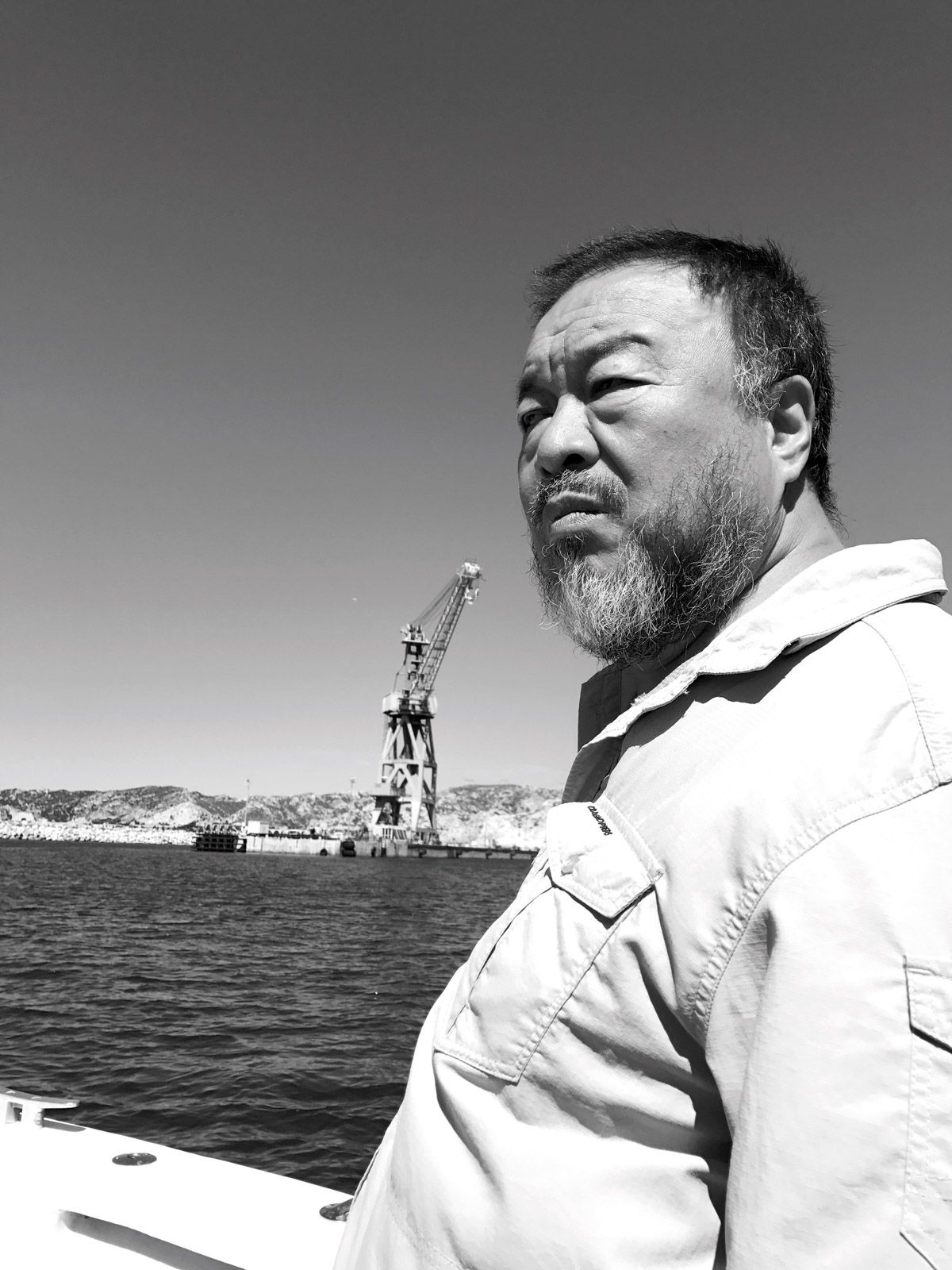 Ai Weiwei Judith Benhamou-Huet, 2017