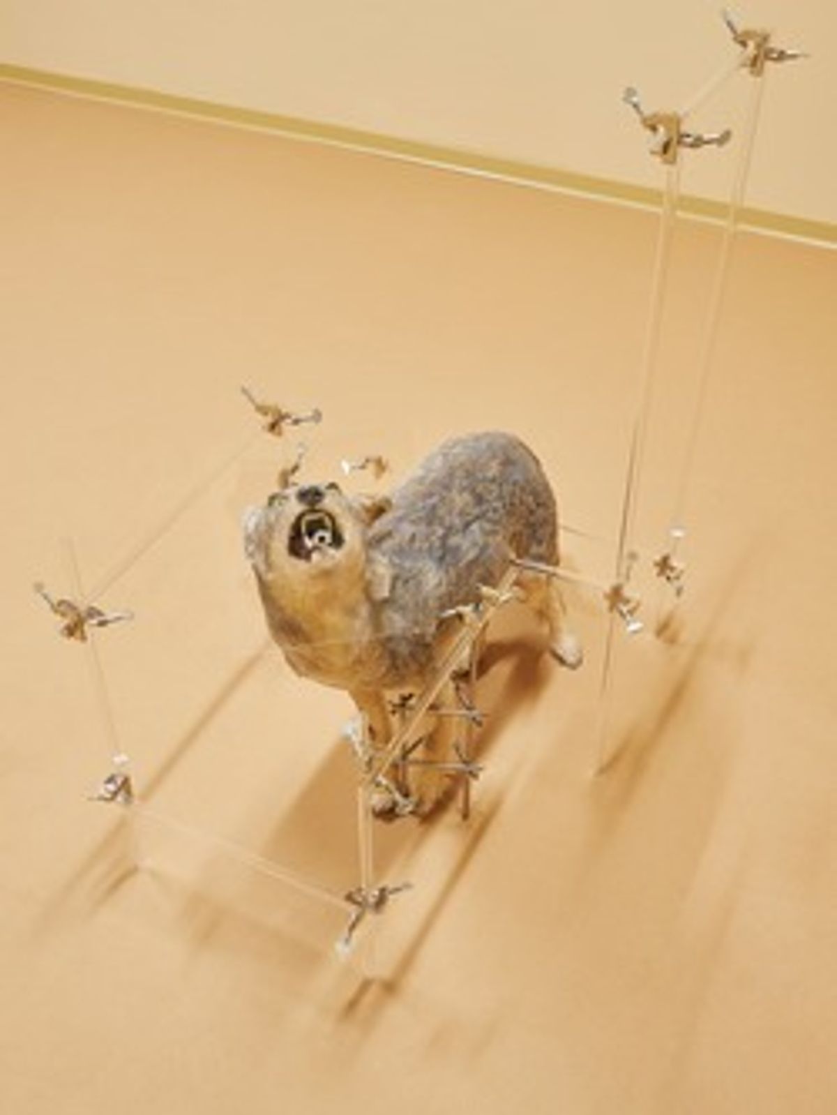 Anicka Yi, Search Image (2016) (Image courtesy of the artist, 47 Canal, New York, and Fridericianum, Kassel. Photo: Fabian Frinzel)