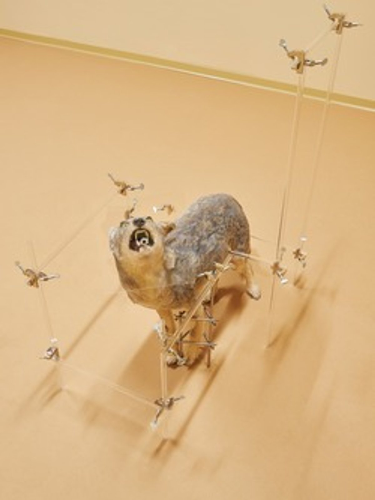 Anicka Yi, Search Image (2016) (Image courtesy of the artist, 47 Canal, New York, and Fridericianum, Kassel. Photo: Fabian Frinzel)