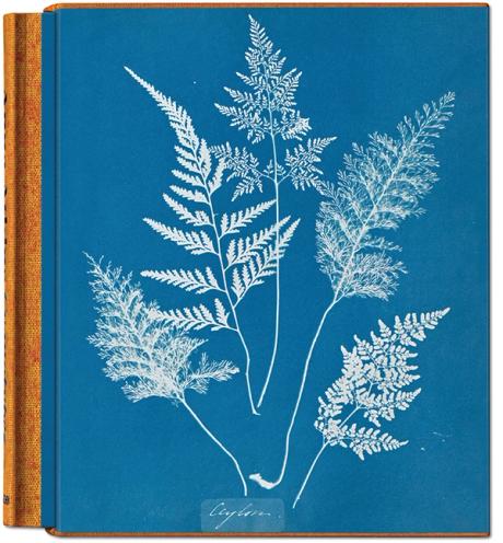  Anna Atkins and the algae: how the first photobook was made in the mid-1800s 