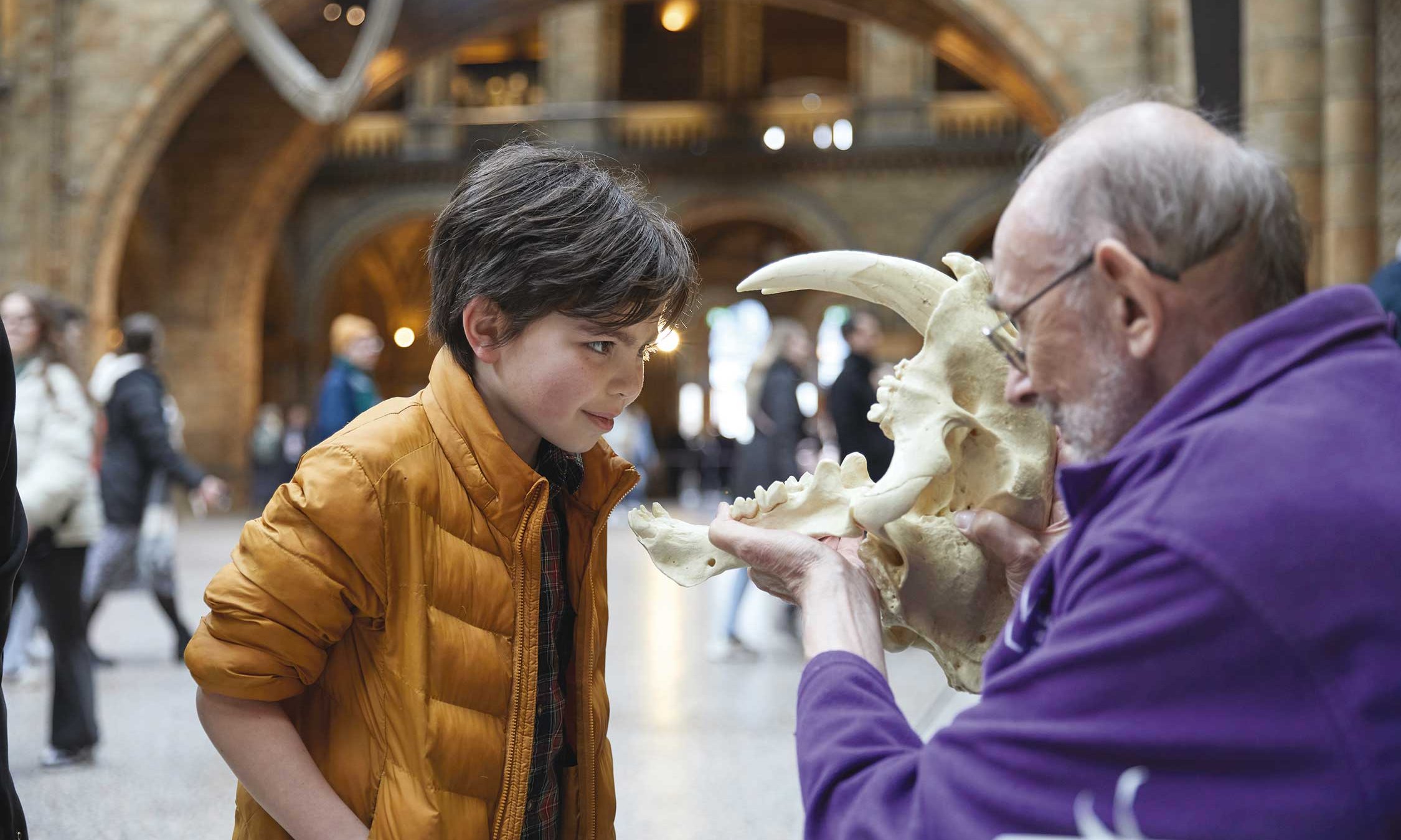 Natural History Museum: how the UK's most popular museum is trying to prevent humanity going the way of the dinosaurs - Vimarsana News