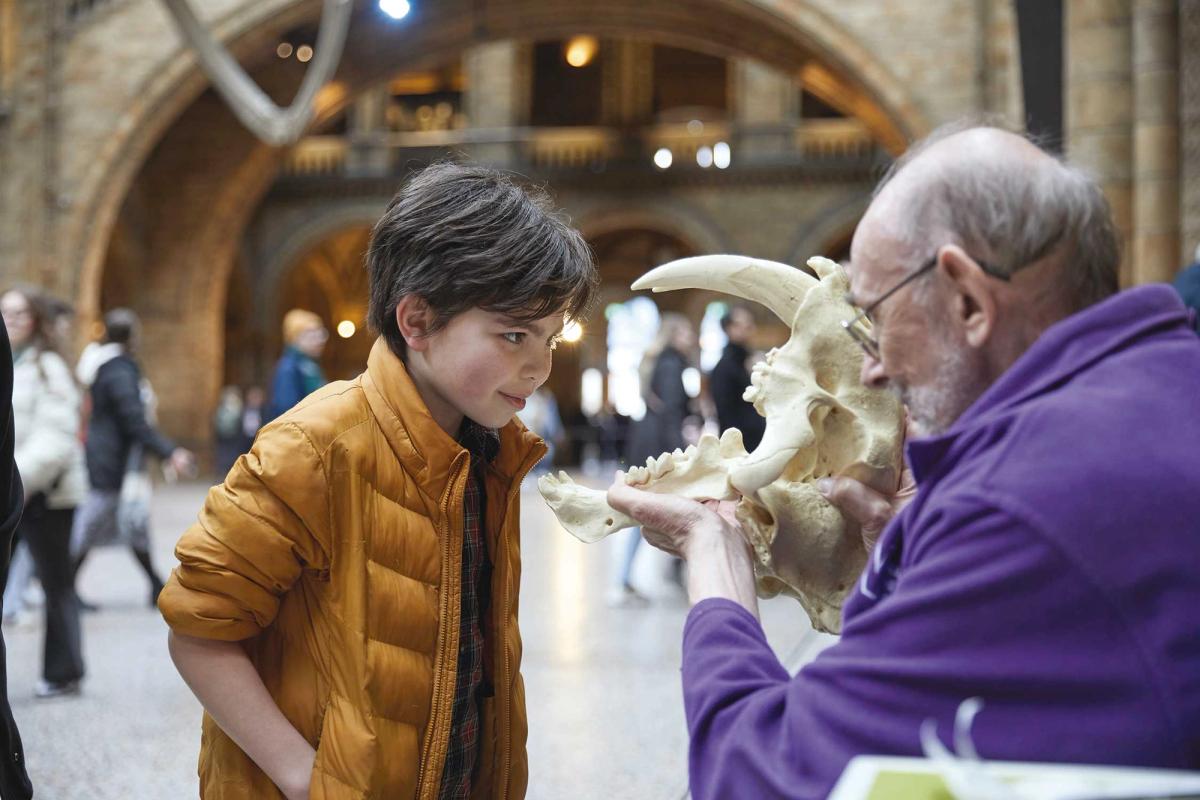 The London museum’s Hintze Hall was dominated by Dippy, a full-size plaster cast replica of a diplodocus skeleton, until 2017; it was replaced by Hope, a blue whale’s skeleton
© Janie Airey, Art Fund 2023