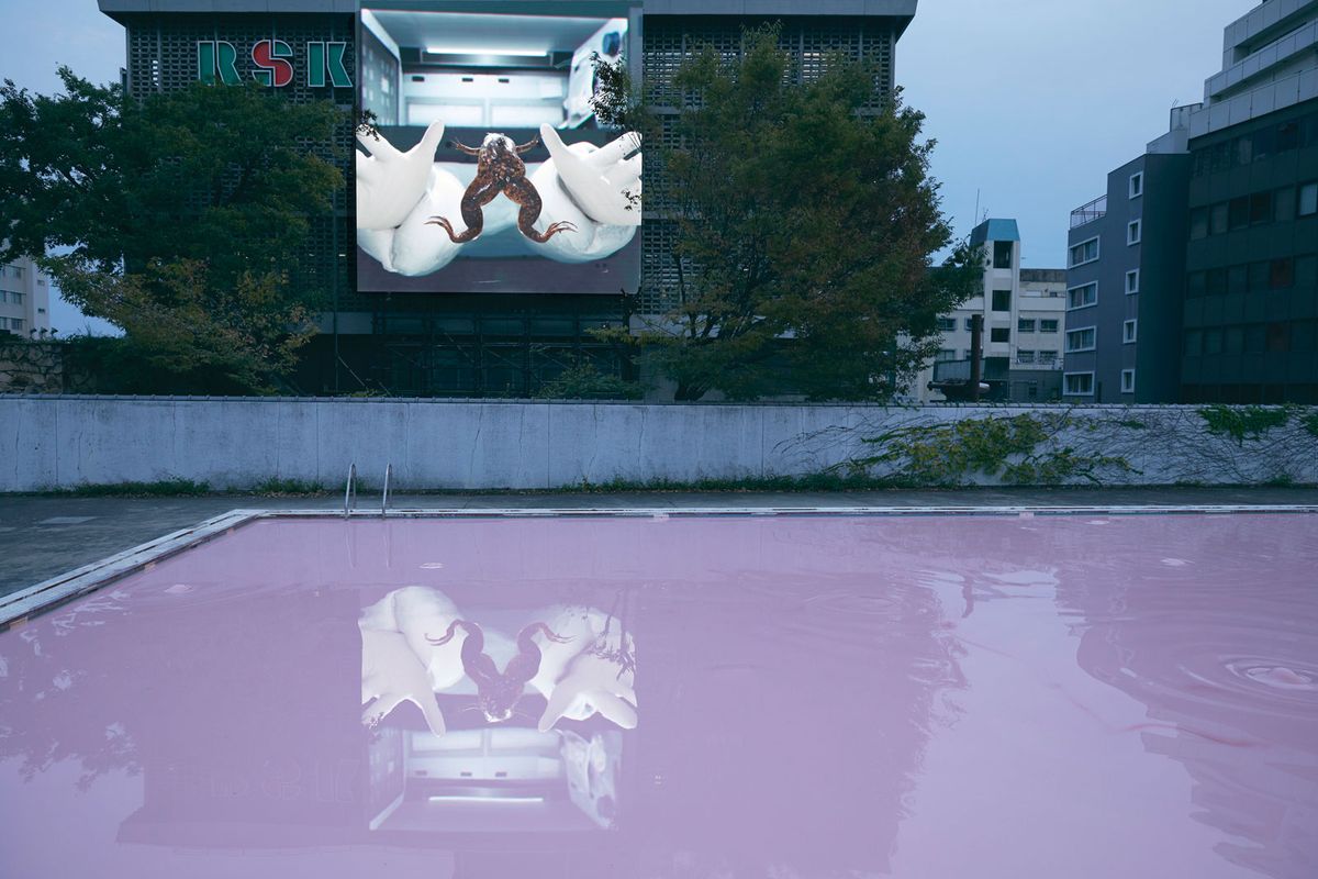 Pamela Rosenkranz Skin Pool (Oromom) (2019) and John Gerrard's X. laevis (Spacelab) (2017) © Courtesy of Rosenkranz, Karma International, Miguel Abreu Gallery and Sprüth Magers; Courtesy of the artist, Thomas Dane Gallery and Simon Preston Gallery; Photo: Ola Rindal