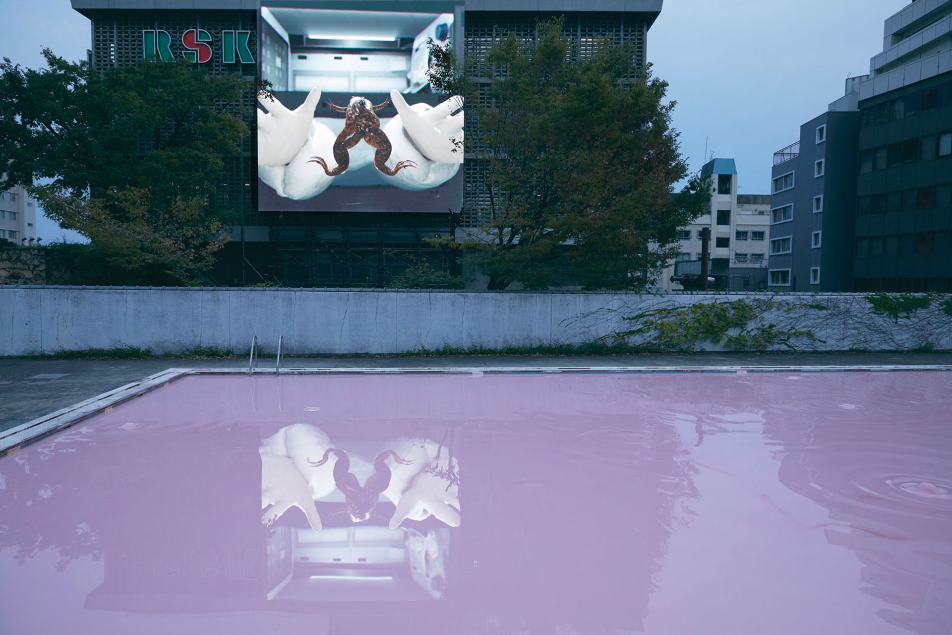 Bubbling pools and animatronic snakes in Pierre Huyghe's Okayama Art Summit