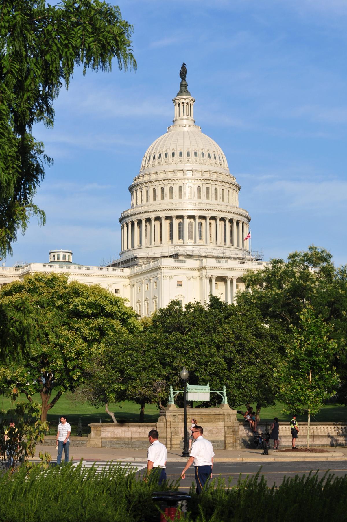 The US Capitol in Washington, DC Photo by Ralf Roletschek, via Wikimedia Commons