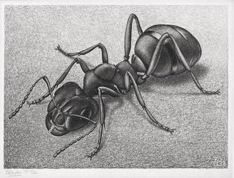  Summer auction highlights: from an ant by Escher to a Botticelli baby 