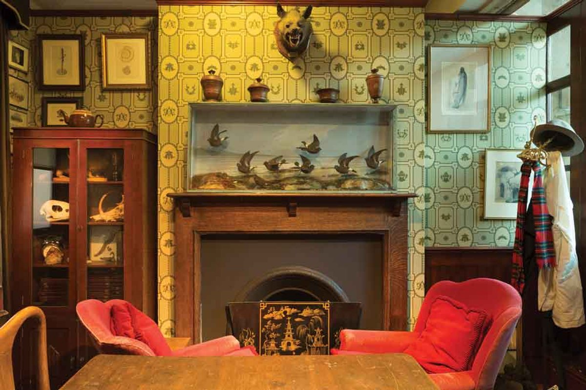 Mark Dion, The Bureau of the Centre for the Study of Surrealism and Its Legacy (2005) Paul Cliff