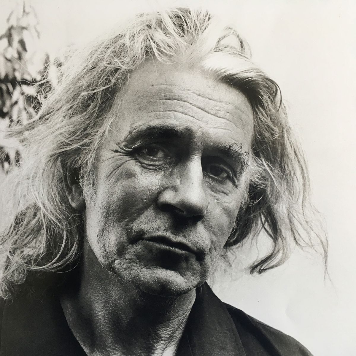 Jamie Reid: forever supporting the underdog Photograph: Jack O'Brien