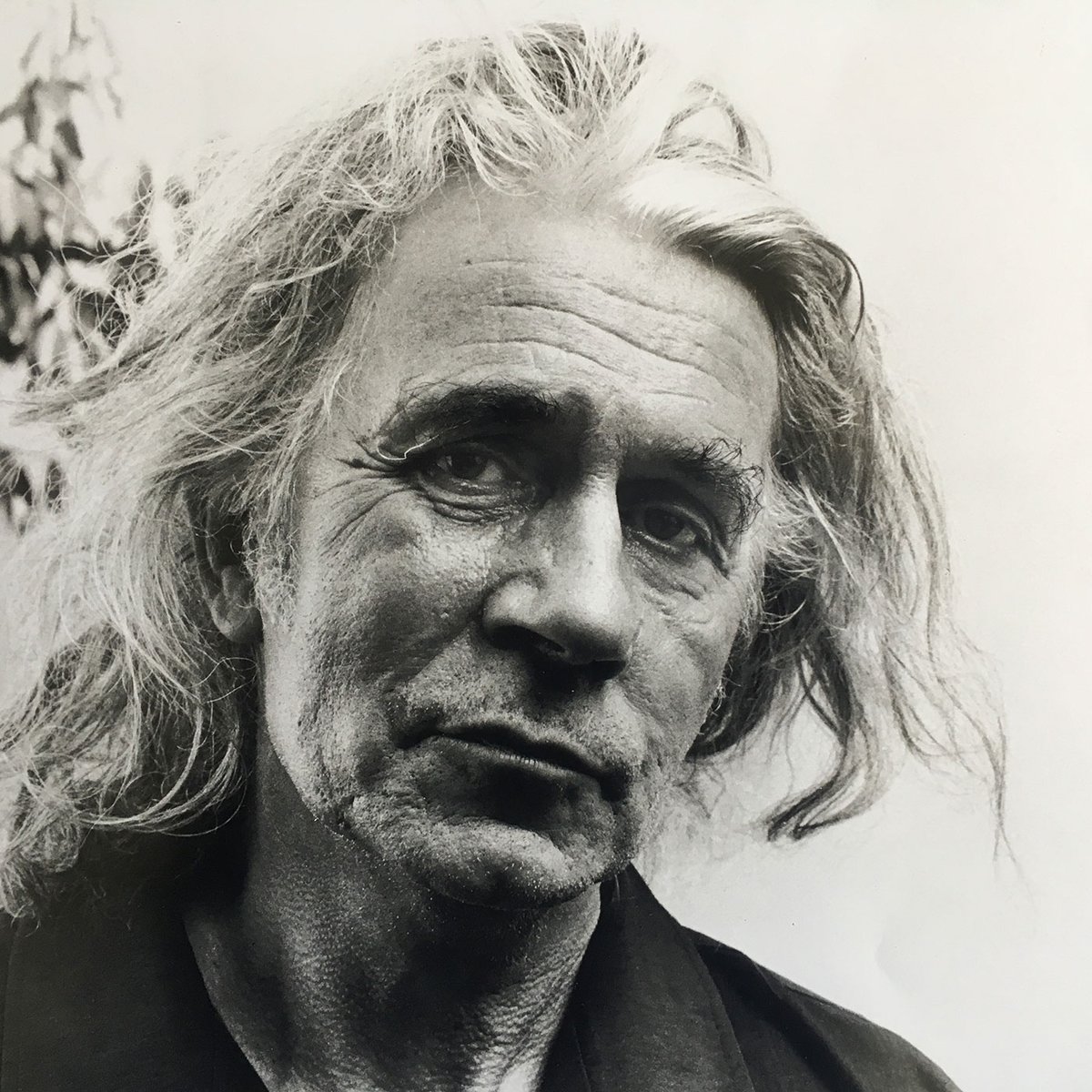 Jamie Reid: forever supporting the underdog Photograph: Jack O'Brien